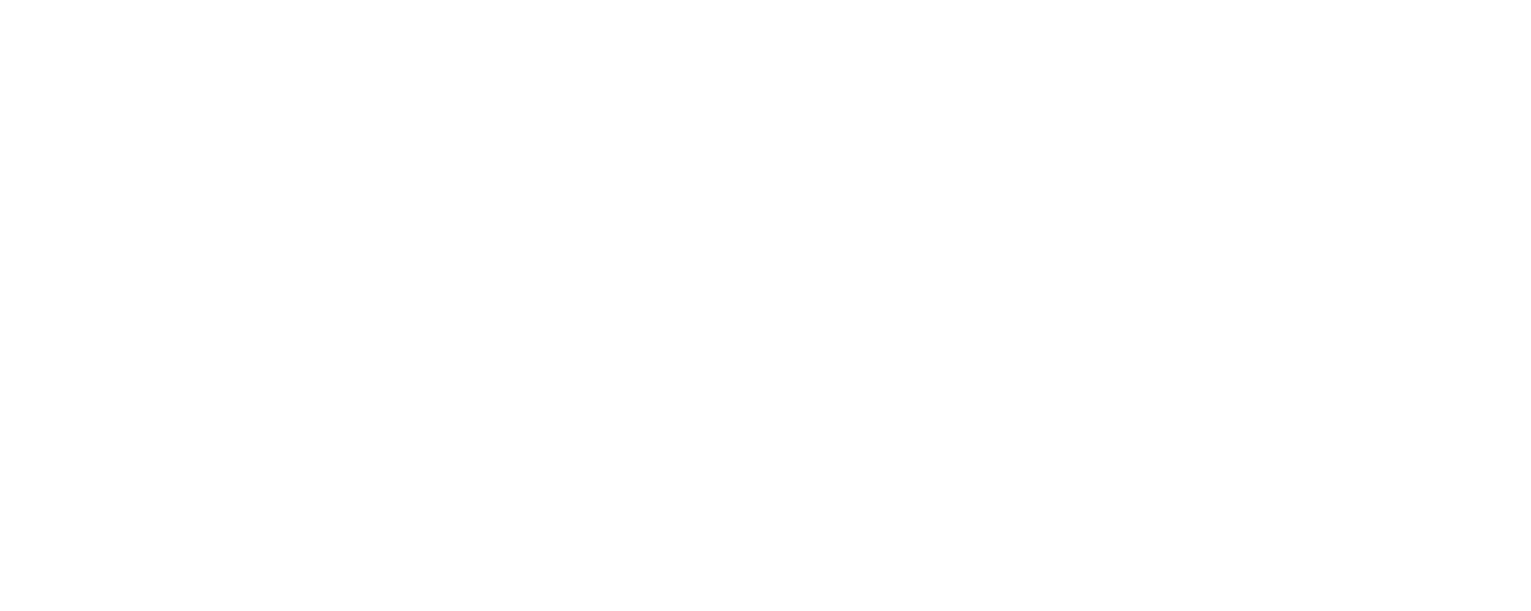 ezGeyser